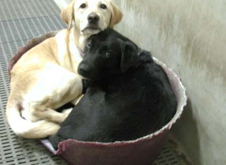 1380945776-1201859869