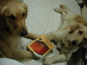 1380945777-1262122024