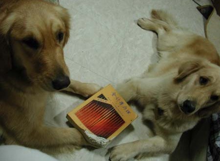 1380945777-1262122024