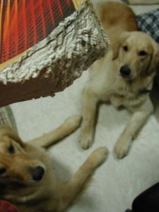 1380945777-1489467538