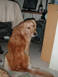 1380945777-2259834556