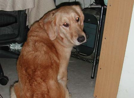 1380945777-2259834556