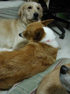 1380945778-1703279942