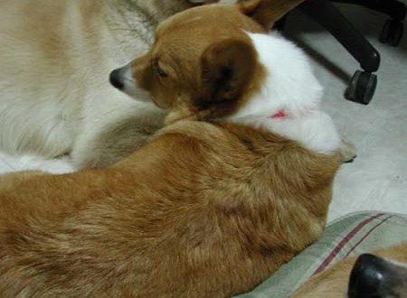 1380945778-1703279942