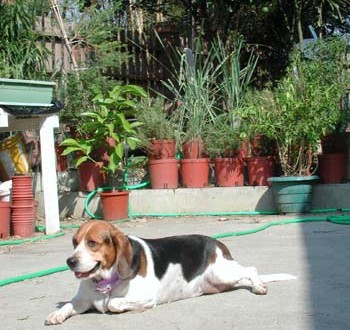 1380945779-1280126674