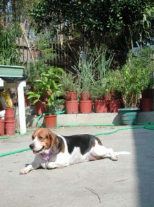 1380945779-1280126674