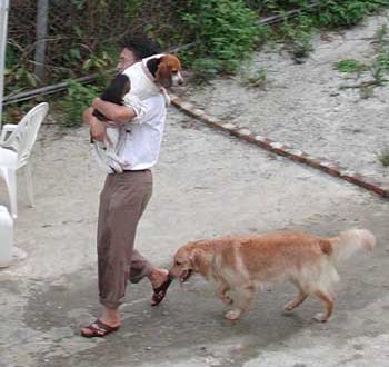 1380945780-2697670547