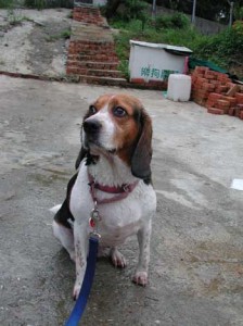 1380945780-3875734619