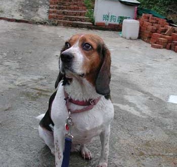 1380945780-3875734619