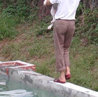 1380945780-3900098443