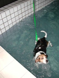 1380945781-1836649899