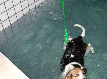 1380945781-1836649899