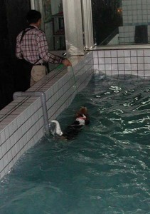 1380945781-4175825290