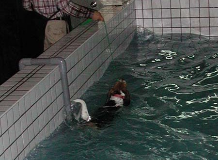 1380945781-4175825290