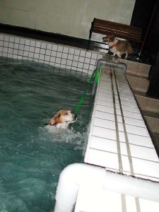 1380945782-1206483905