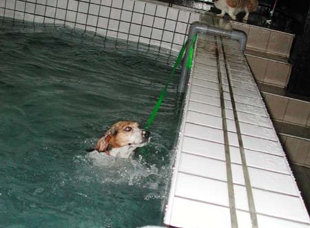 1380945782-1206483905