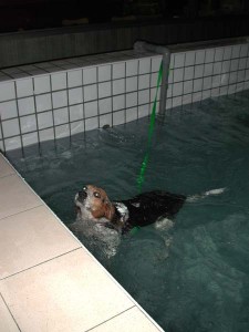 1380945782-2110504983