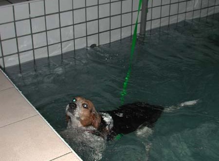 1380945782-2110504983