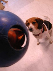 1380945783-488449354