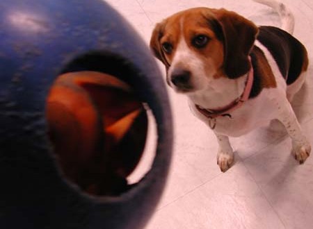 1380945783-488449354