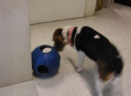 1380945784-124357635