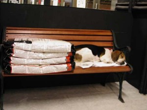 1380945784-1800271547