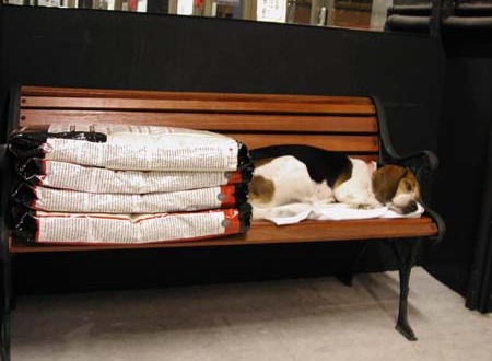 1380945784-1800271547