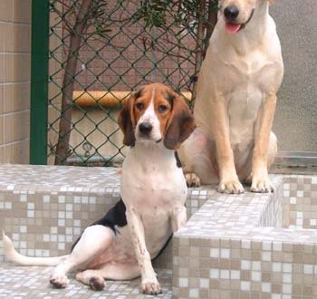 1380945785-1110313309