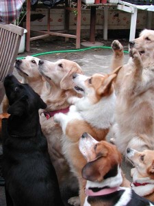 1380945785-3279336104