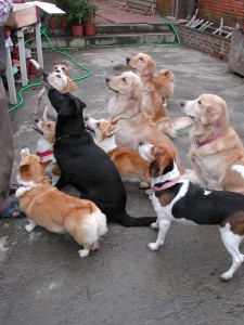 1380945786-1824574624