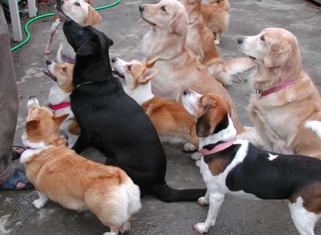 1380945786-1824574624