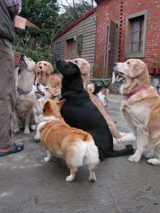 1380945786-3297823052