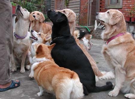 1380945786-3297823052