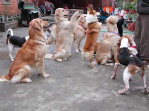 1380945787-3112833174