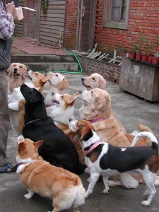 1380945787-3565285873