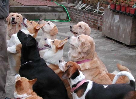 1380945787-3565285873