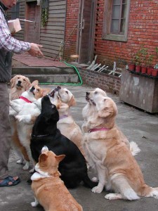 1380945788-698706669