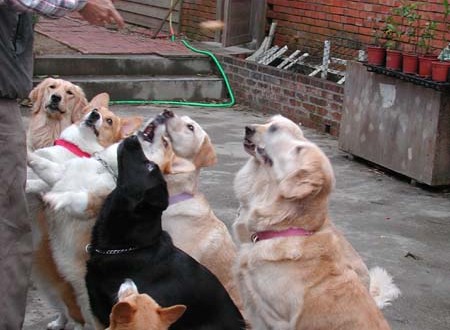 1380945788-698706669