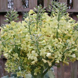 1380945789-369855157