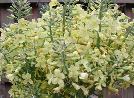 1380945789-369855157