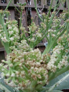 1380945790-1485086405