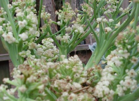 1380945790-1485086405