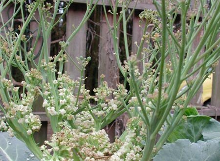 1380945790-1606151758