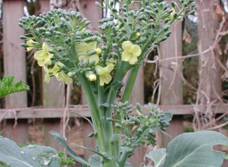 1380945790-740359523