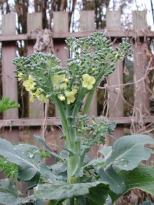 1380945790-740359523