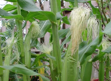 1380945791-3205794715