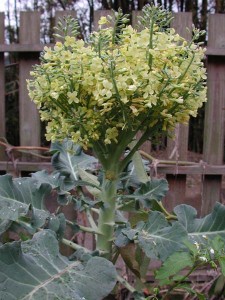 1380945791-3476837385