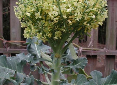 1380945791-3476837385