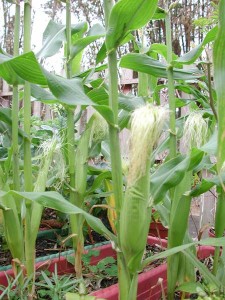 1380945792-3966221452