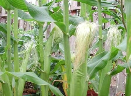 1380945792-3966221452